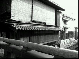 写真１