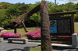 写真コメント