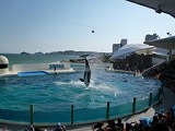 写真コメント