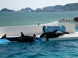 写真コメント