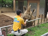 写真コメント