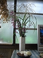 写真コメント