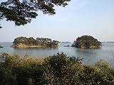 写真コメント