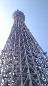 ｽｶｲﾂﾘｰ!