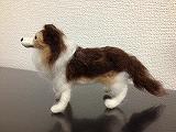 シェルティーその②