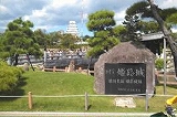 城鷺