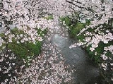森山