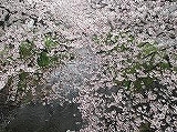 河口