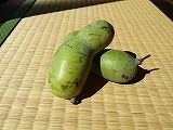 おいしそう・・・