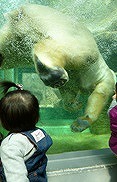 日本平動物園