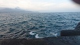 夏の海