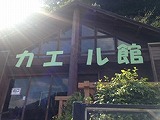 カエル館