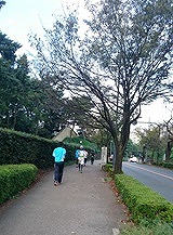 皇居外苑
