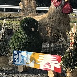 迎春