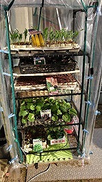 農作業3