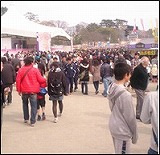 静岡祭り1