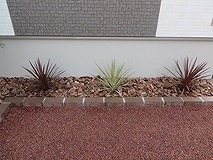 玄関に植木2