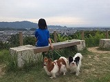 蓮華寺池公園2