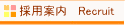 採用案内